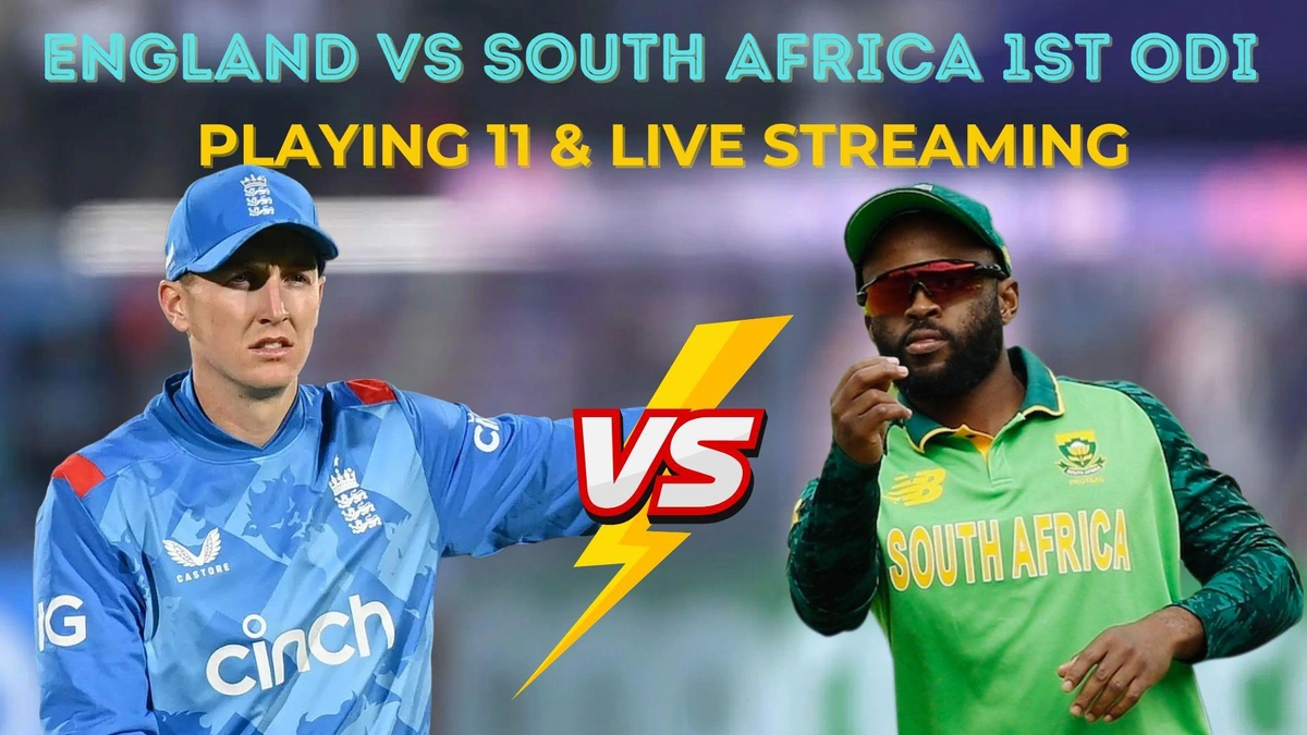 The Rise and Recent Dip | A Quick Recap