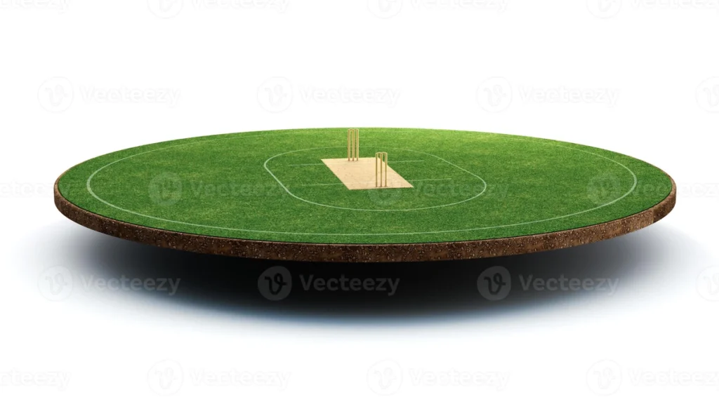 Cricket Pitch