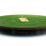 Cricket Pitch