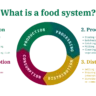Food Systems